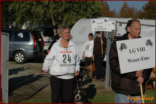 DM FH 2011